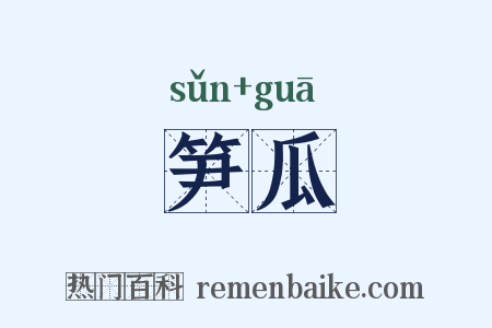 笋瓜是什么意思的图片